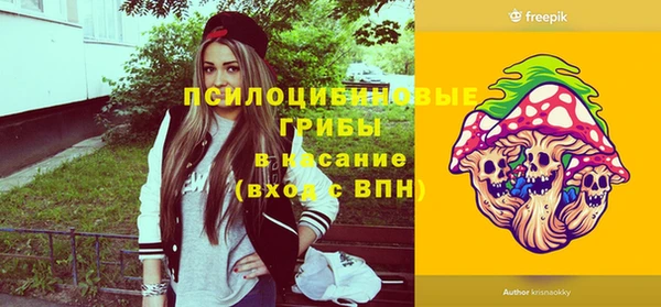 mdma Бородино